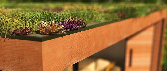 initstudios---sedum-roof.jpg